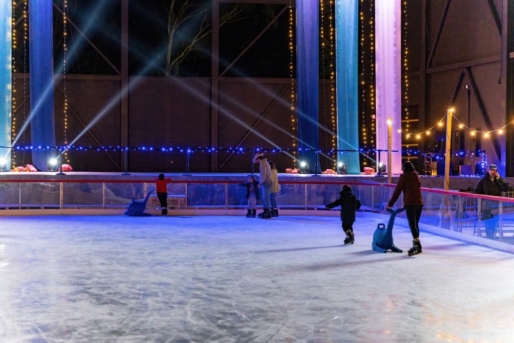 ice skating rink in albertville alabama